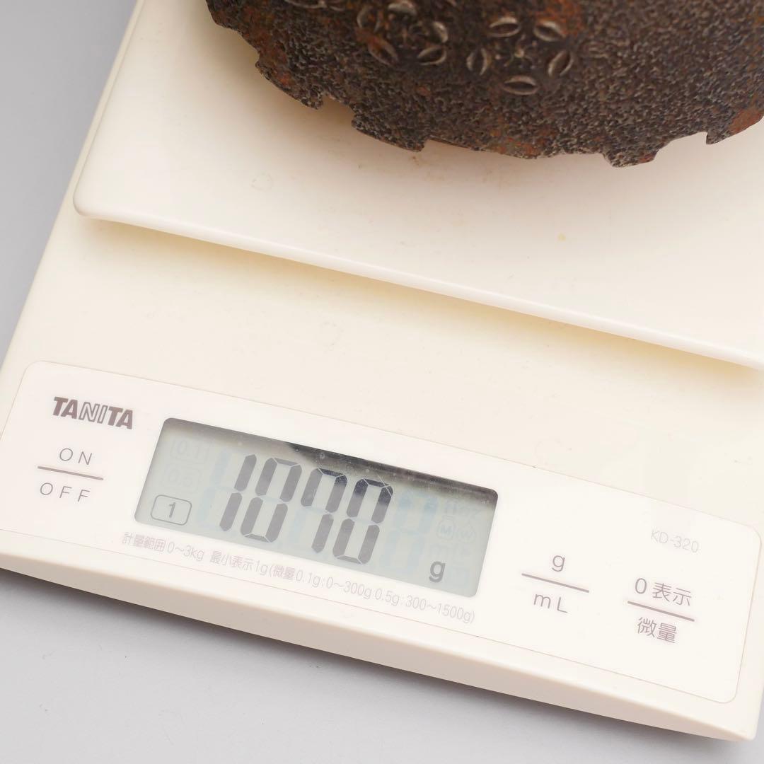 釜師 三好造 梅樹文 柚肌 尾垂鉄瓶 銅提手 時代物 茶道具 煎茶道具