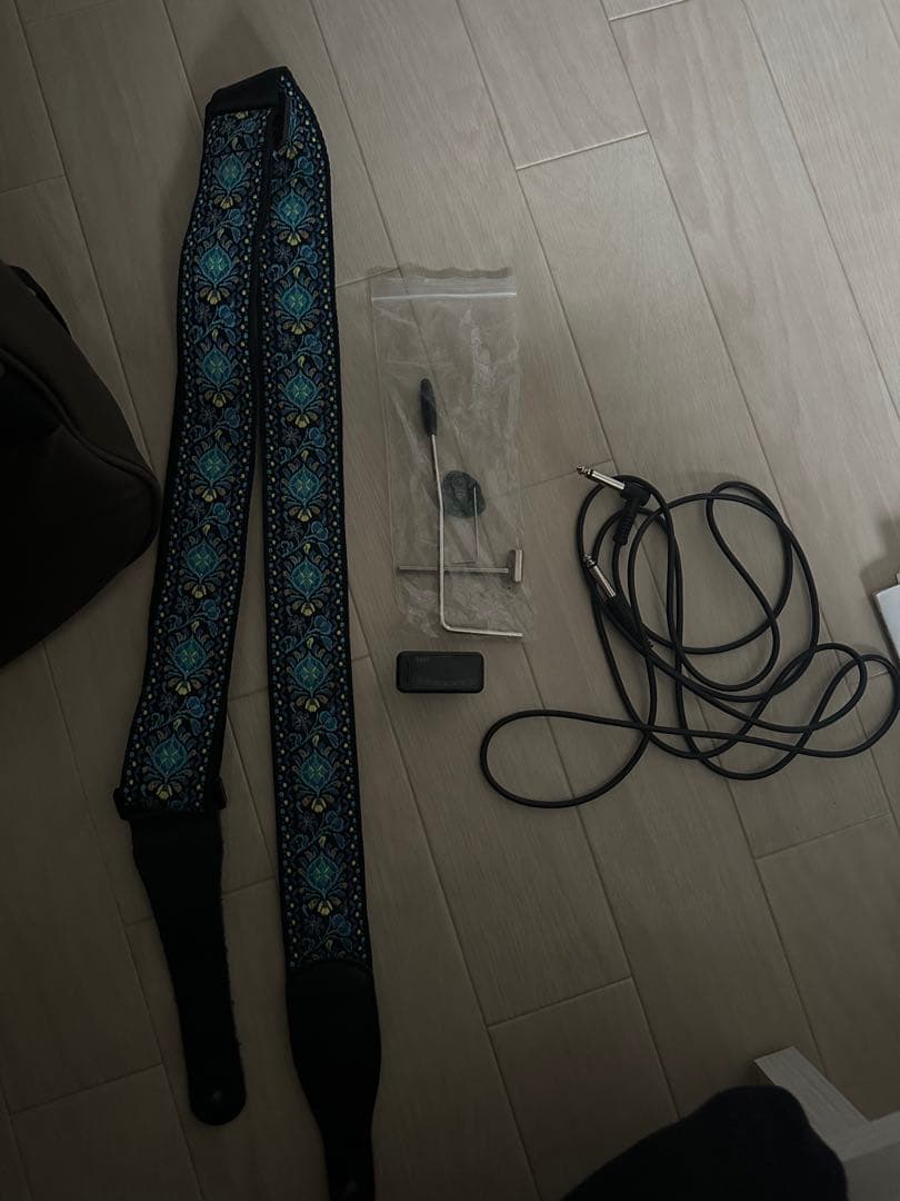 ギター PRS SE Custom24 Gray Black