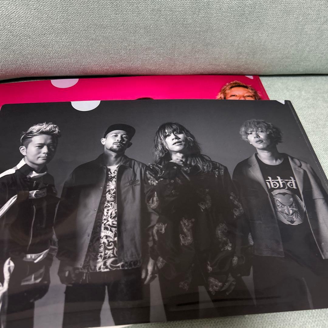 SUPER BEAVER CD特典 クリアファイル アルバム