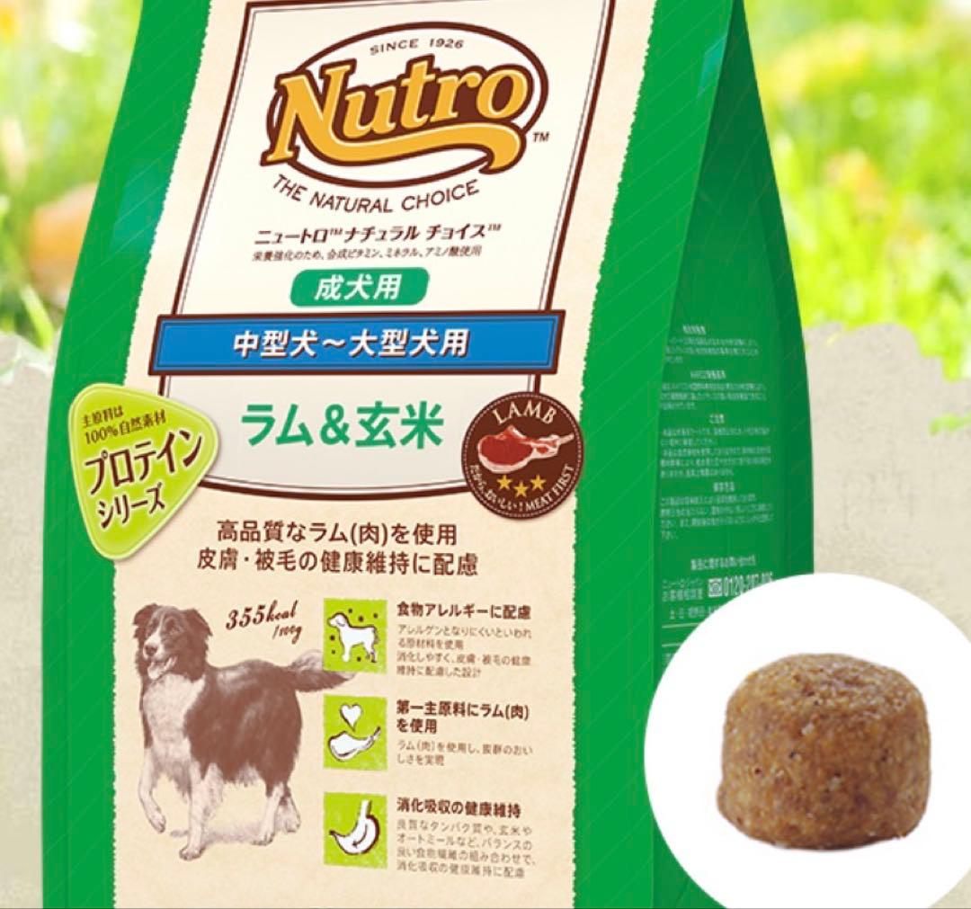 Nutro ラム&玄米 中型犬〜大型犬用 14kg