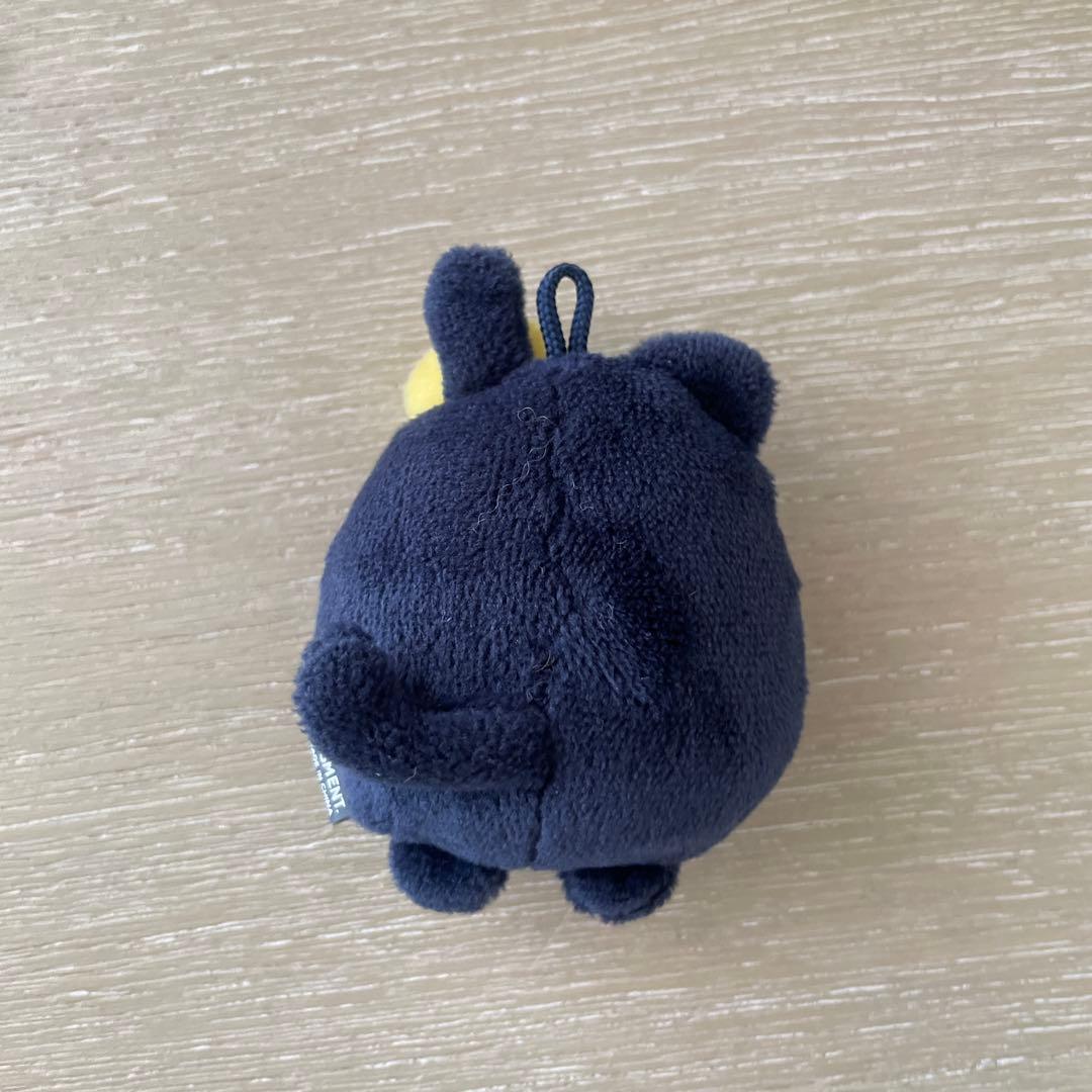 RIIZE ウォンビン　ペンライトカバー　キーホルダー　WONBIN シュシュ