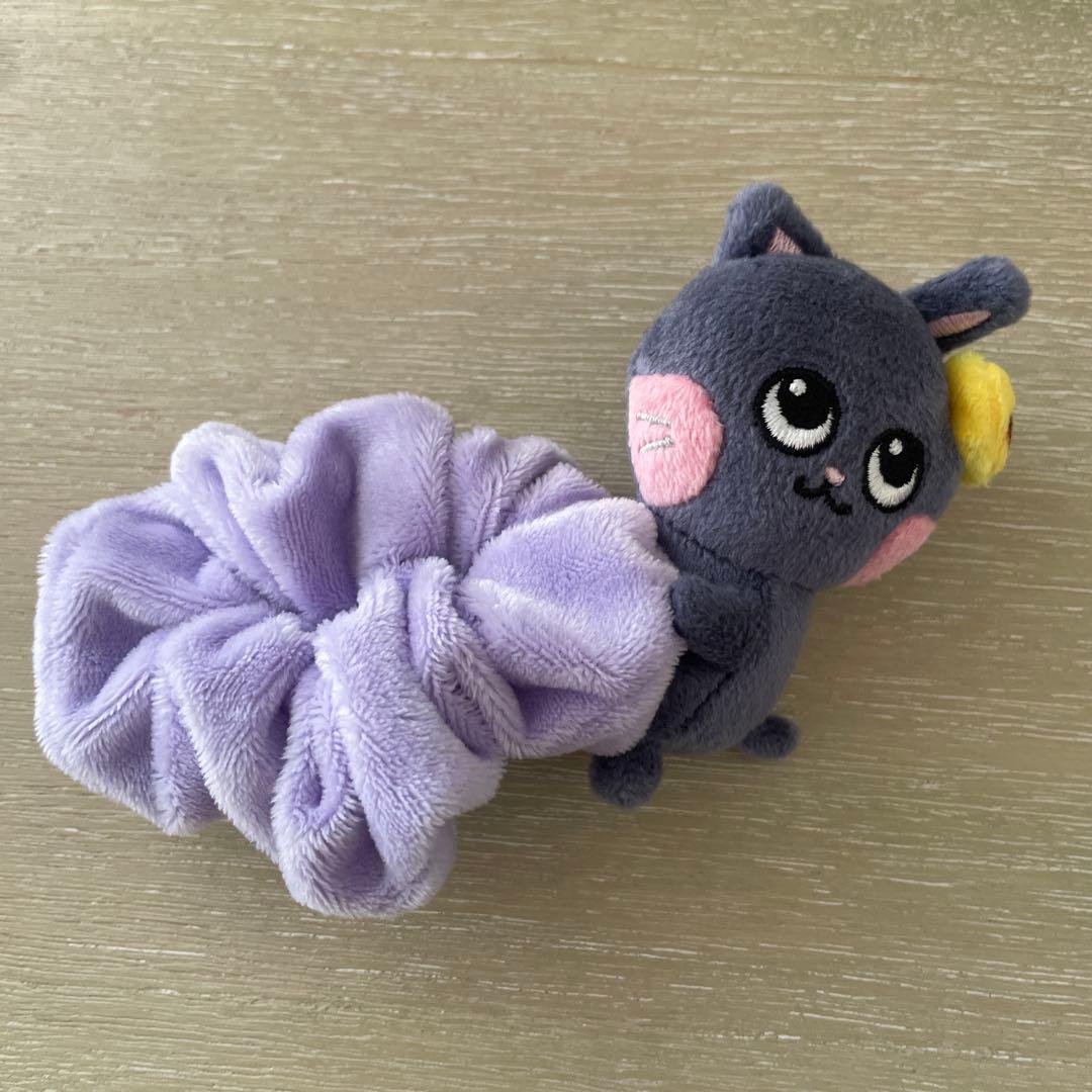 RIIZE ウォンビン　ペンライトカバー　キーホルダー　WONBIN シュシュ