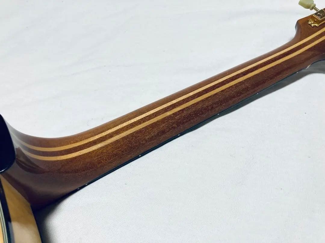 美品 FUJIGEN/フジゲン MFA-FP フルアコ