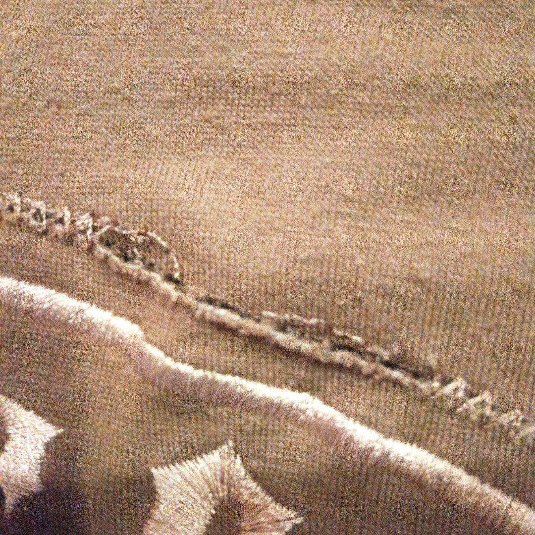 激レア　B'z MONSTER’S CHOPPER パーカー