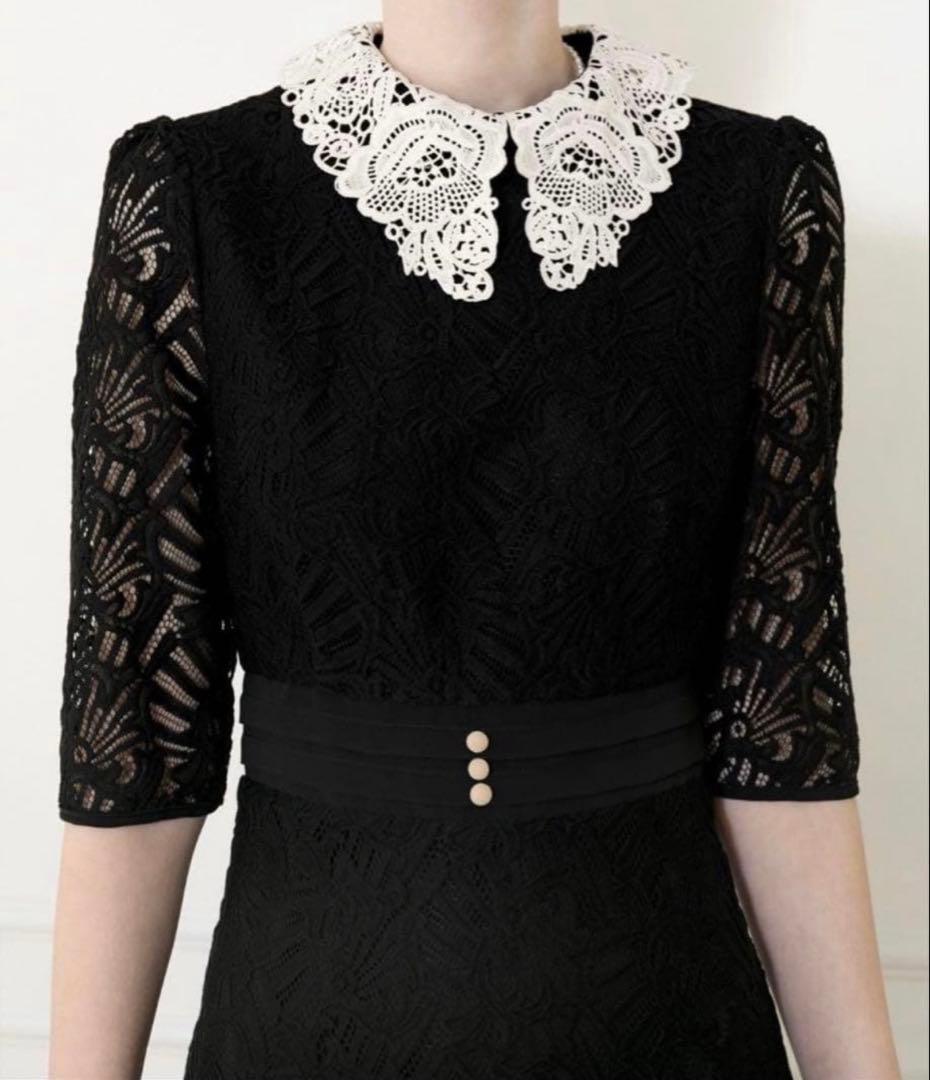 Leja レースビッグカラー花柄ワンピースドレス　オケージョンドレス　Ｓサイズ