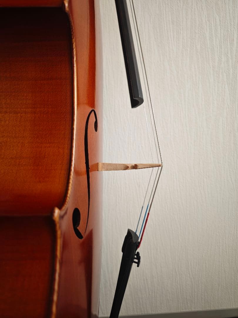 Roderich Paesold No.602 1990年製 チェロ