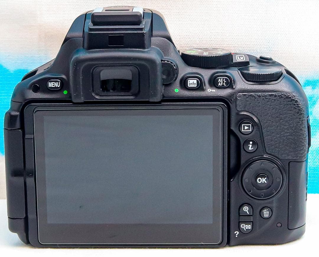 ニコン Nikon D5500⭐️スマホ転送機能付⭐️超高画質2416万画素