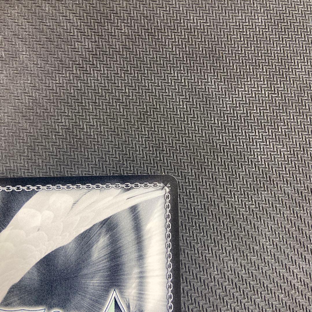 ヴァイス 進撃の巨人　運命への抗い　ミカサ　SP