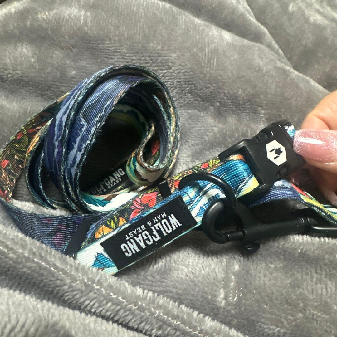 WOLFGANG MAN & BEAST リード