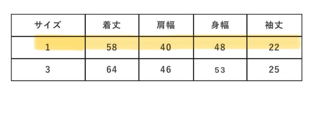 値下げ不可　pamm 後ろ姿の寛大なインテリアメッシュポロ