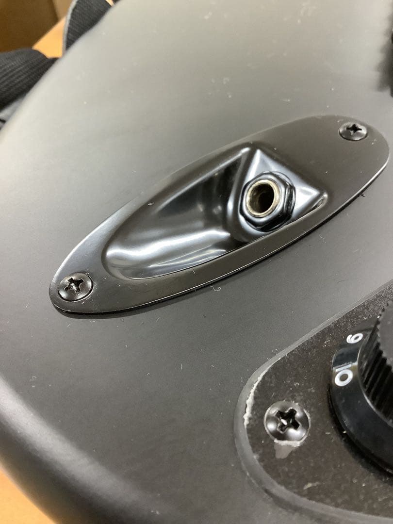 【大人気！】漆黒のエレキギター SELDER セルダー ストラトキャスター