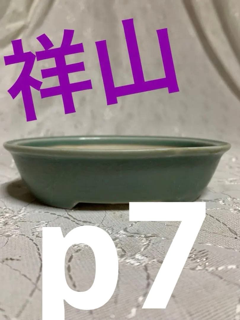 祥山　九谷　楕円　盆栽鉢