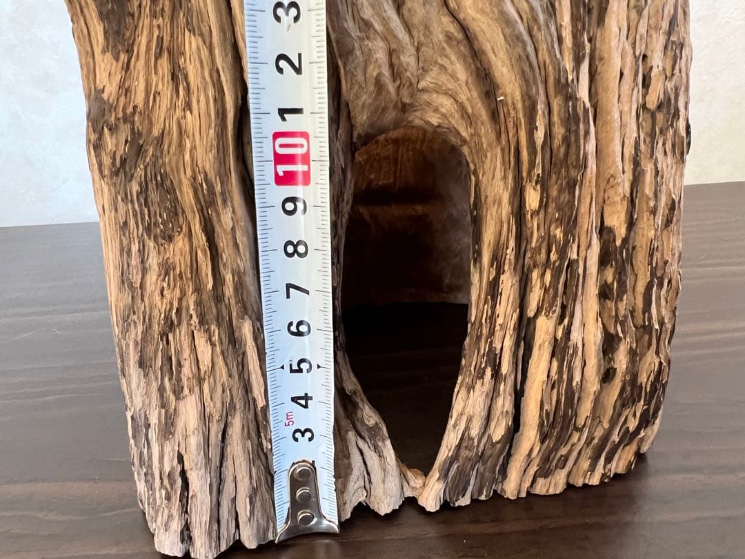 HX-008 流木　空洞　爬虫類　アクアリウム　アクアテラリウム　即沈水