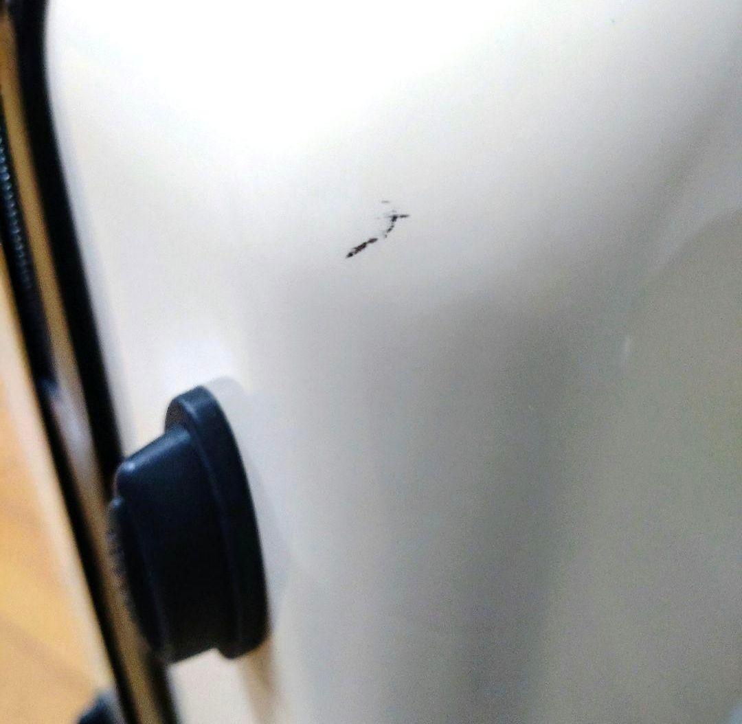 WHITE JAM グッズ キャリーケース 即購入○