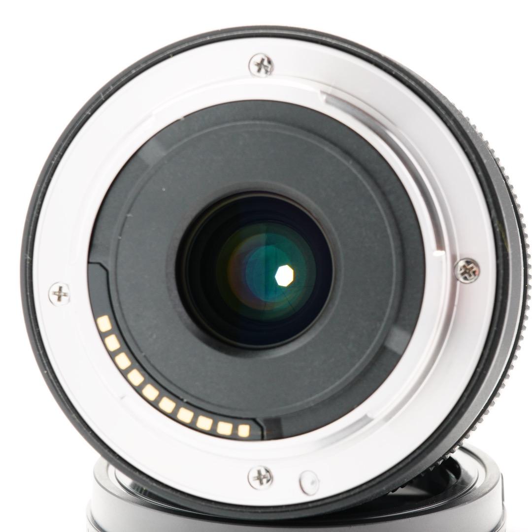 【極美品】SONY SEL11F18 超広角レンズ APS-C Eマウント