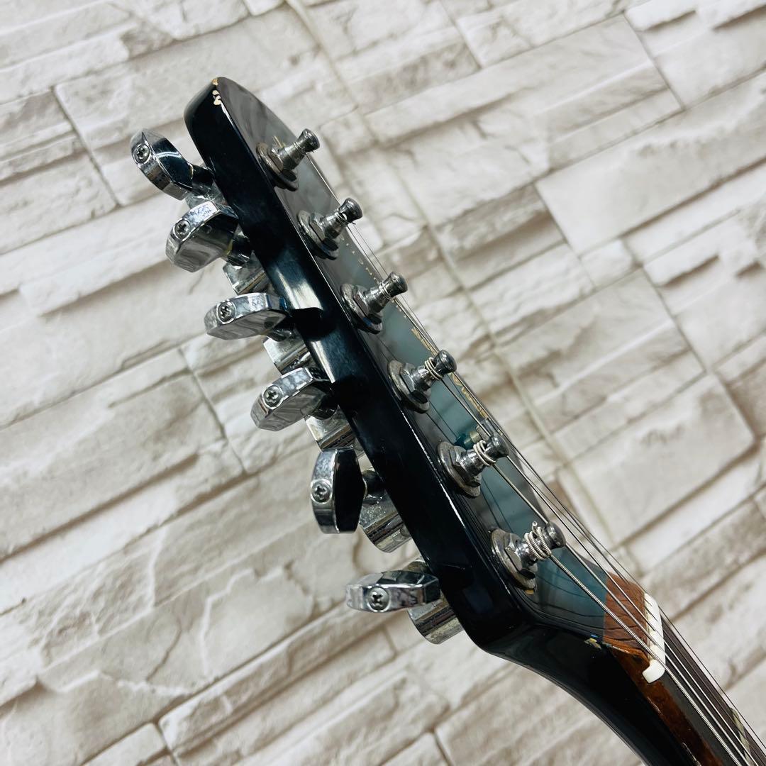 Fernandes フェルナンデス THE FUNCTION エレキギター