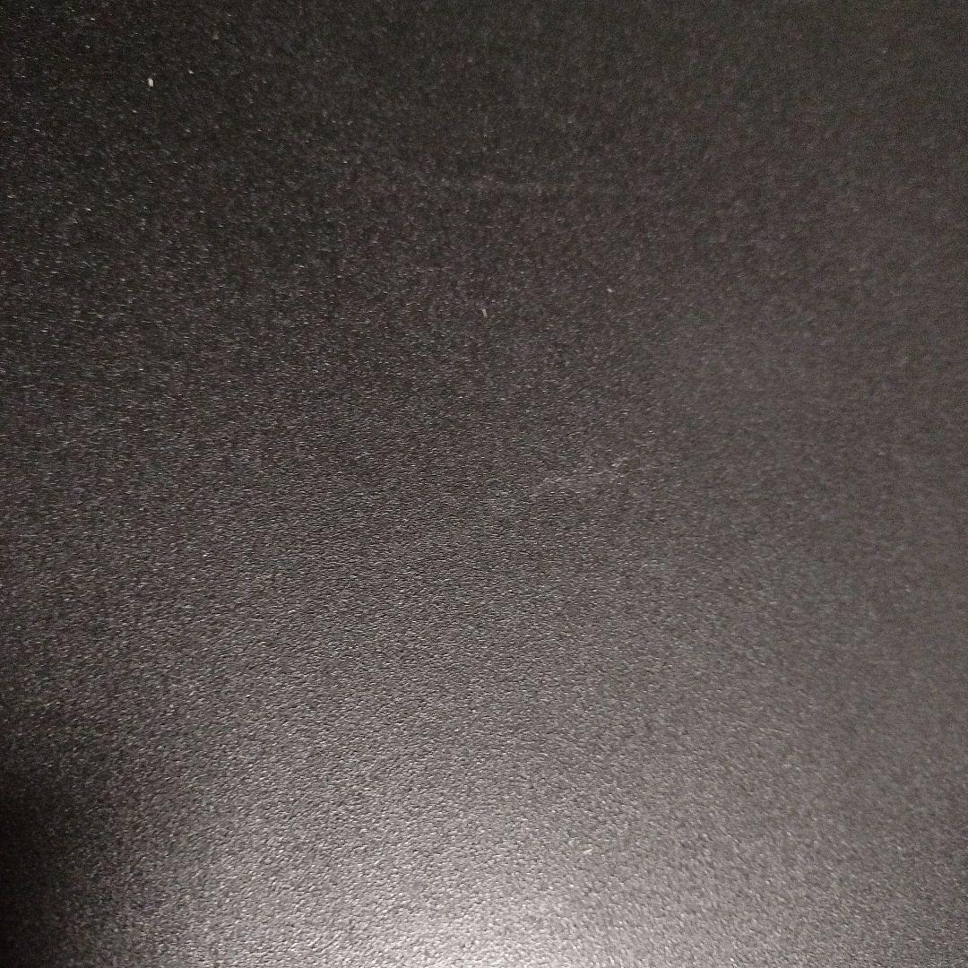 越前漆器　花柄 未使用２枚