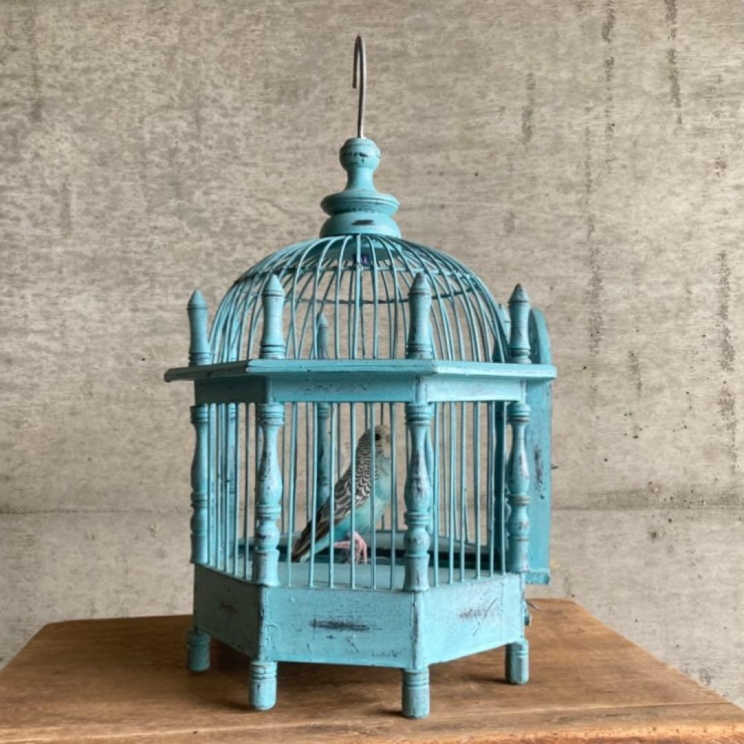 鳥籠 バードゲージ カゴ 小鳥 置物 吊り下げ 水色 青 シャビー レトロ