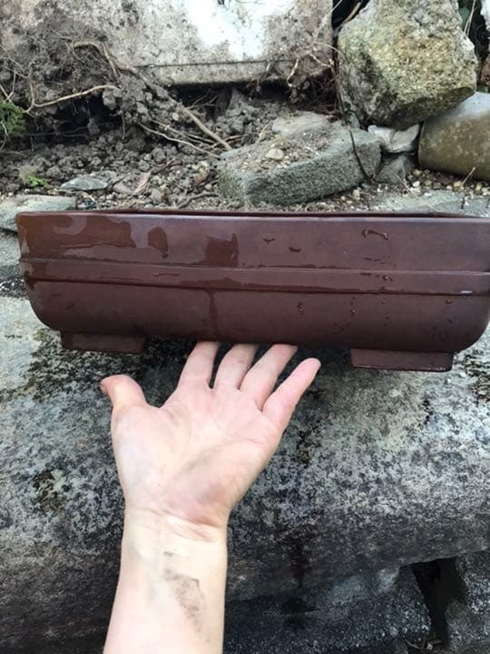 盆栽鉢　時代長方盆栽鉢水庄園