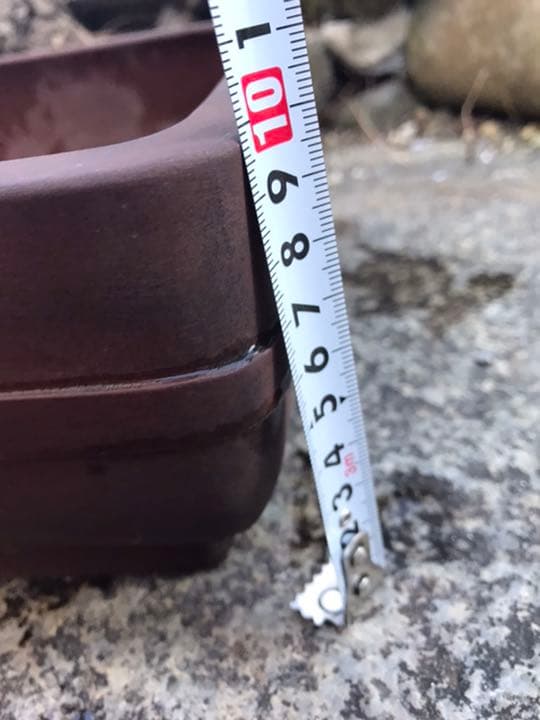 盆栽鉢　時代長方盆栽鉢水庄園