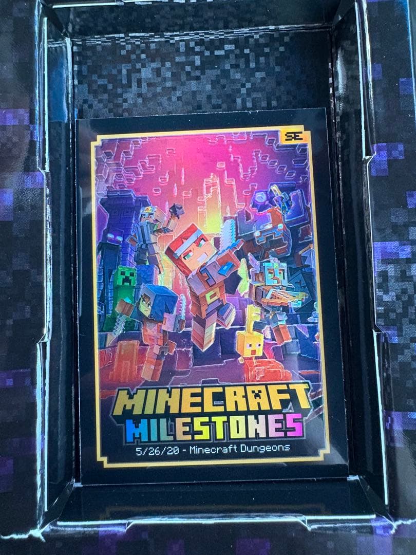 その他 PANINI MINECRAFT Milestone Dungeons SSP