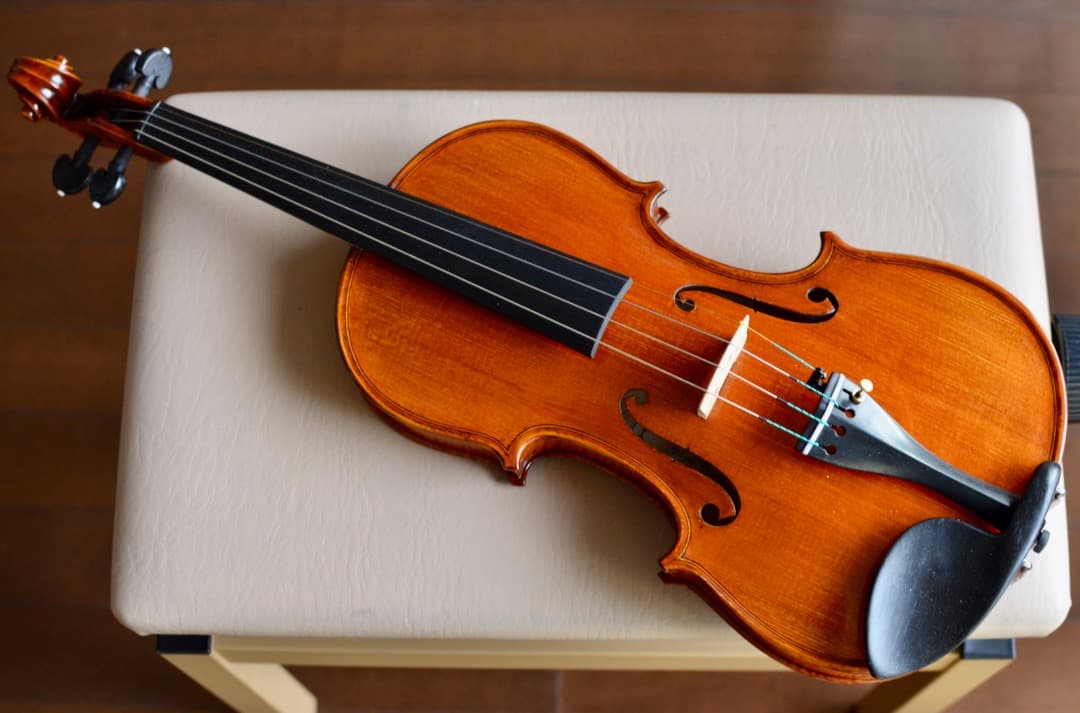 【極虎杢 新品】Gliga Vasile Maestro バイオリン 4/4