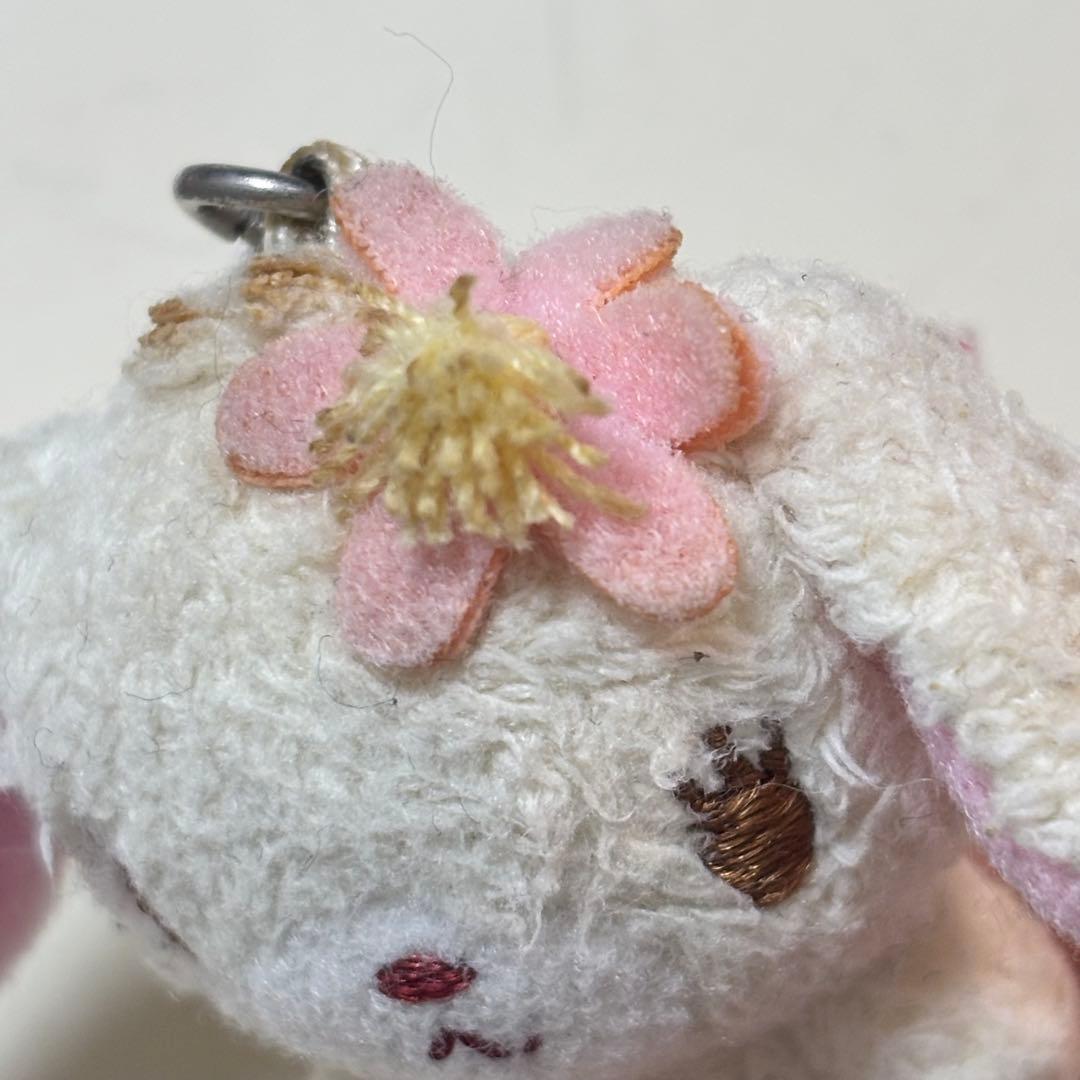 シュガーバニーズ はなうさ ぬいぐるみ