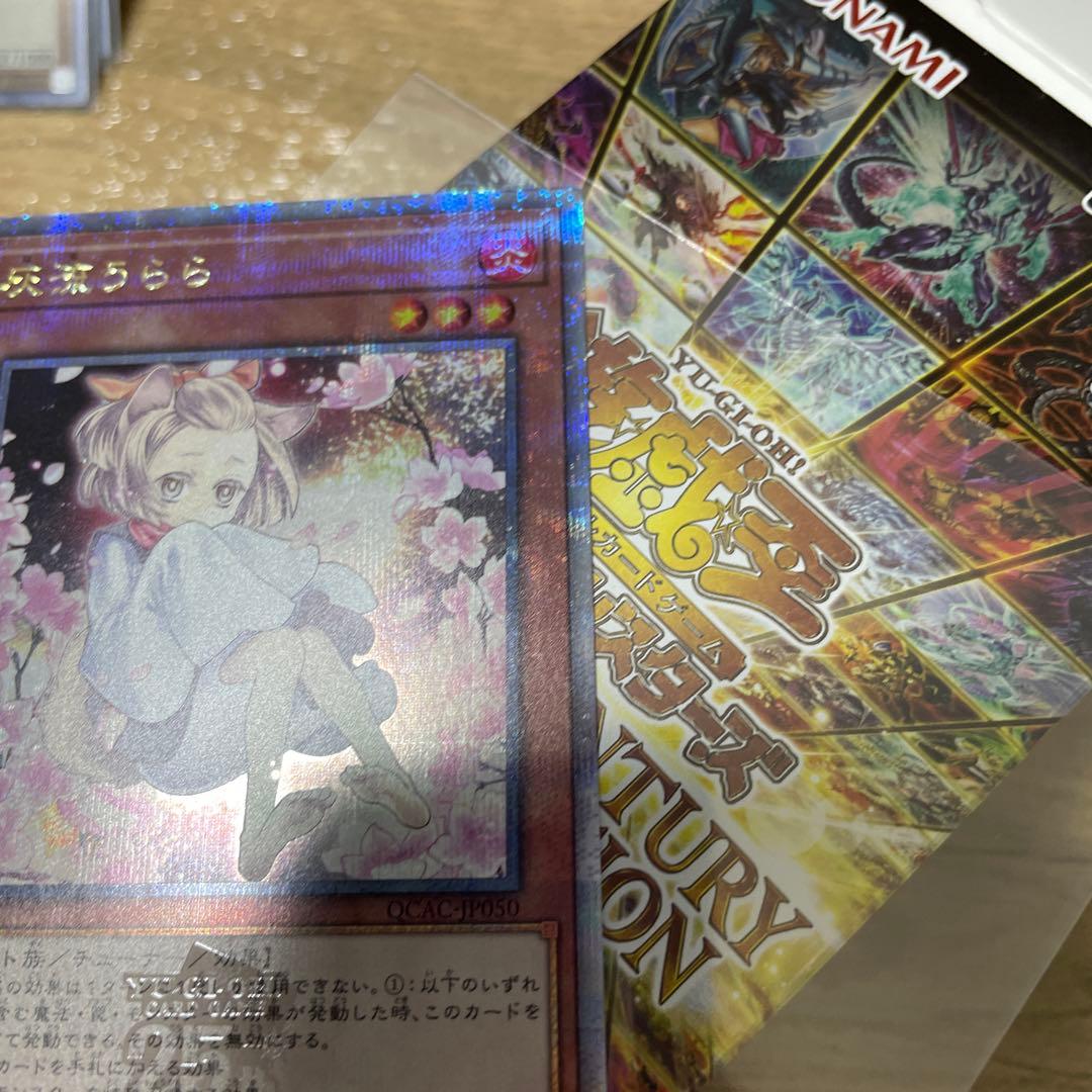 灰流うらら　25thシク