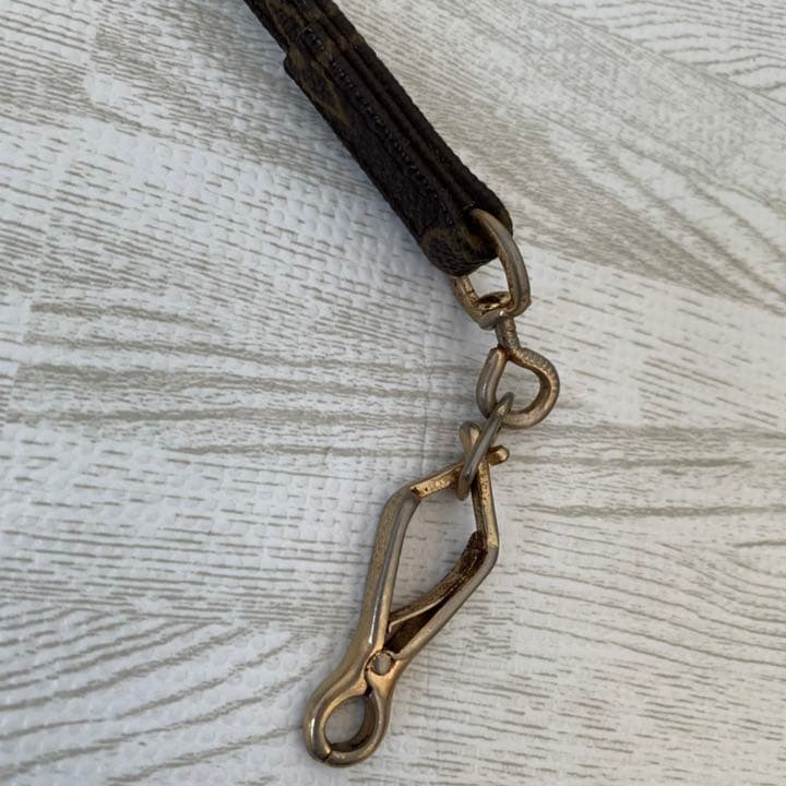 LOUIS VUITTON リード首輪セット