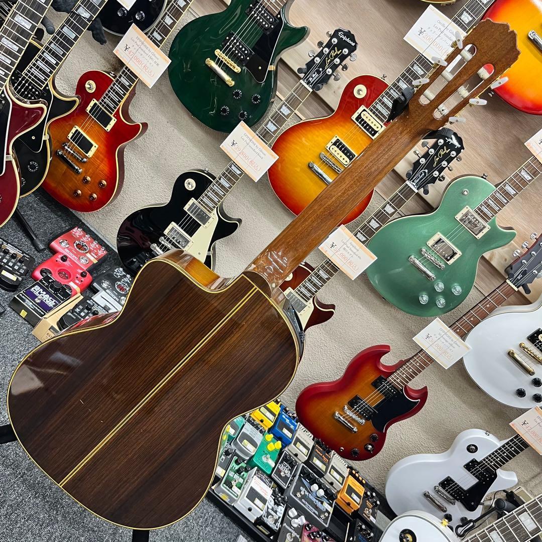 【10990】 Takamine エレアコ マカフェリ NPT-315