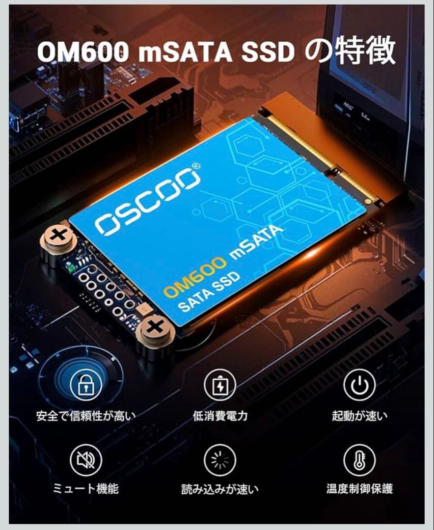 mSATA SSD 1TB OSCOO OM600 未使用品
