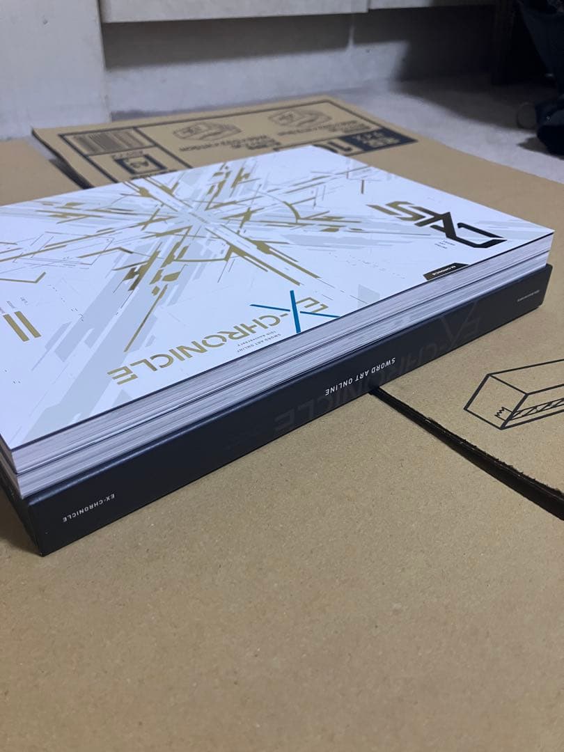 ソードアート・オンラインEX-CHRONICLE 観賞用美品