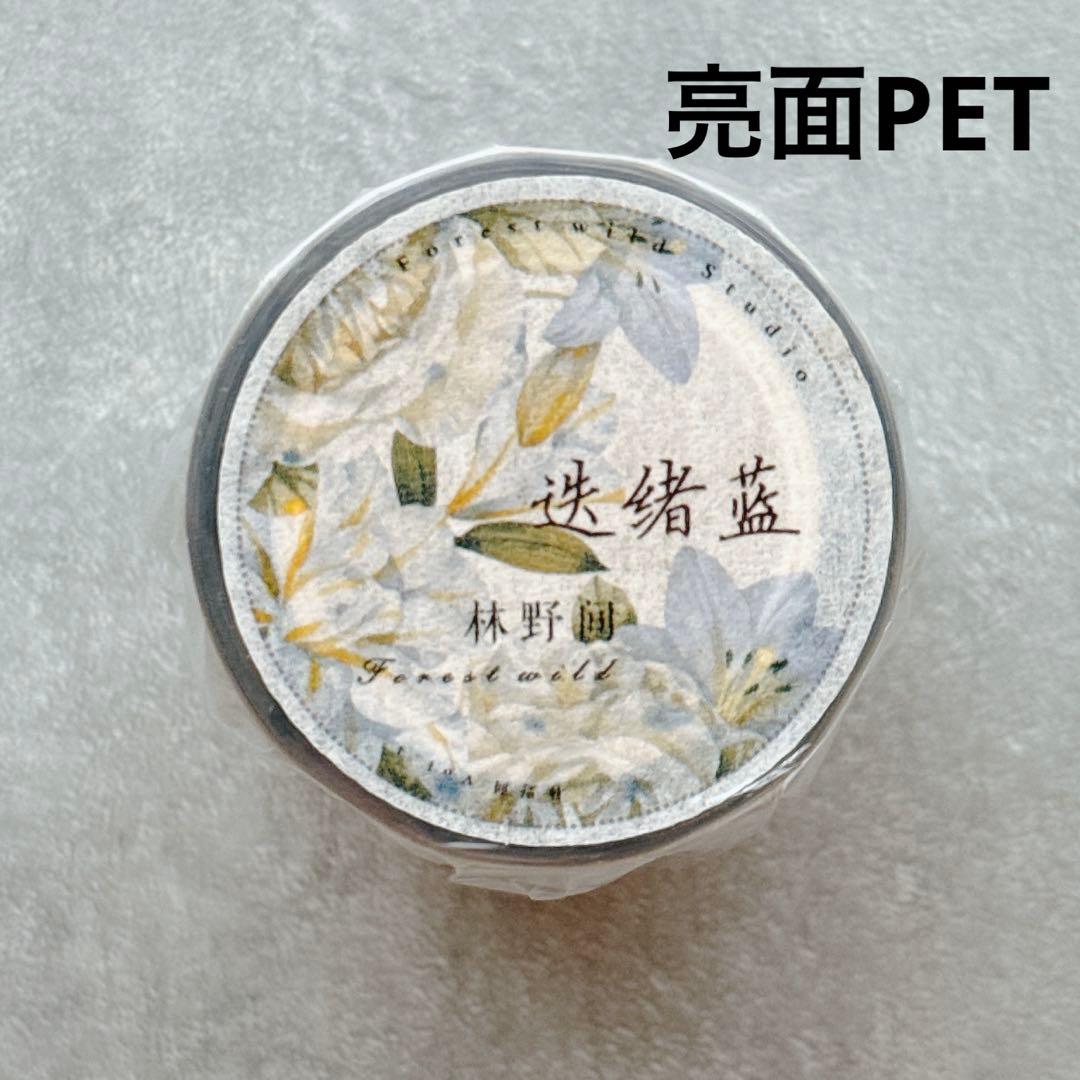 ⭐️SALE⭐️ 林野间《迭绪蓝》海外マスキングテープ　マステ 【2463】