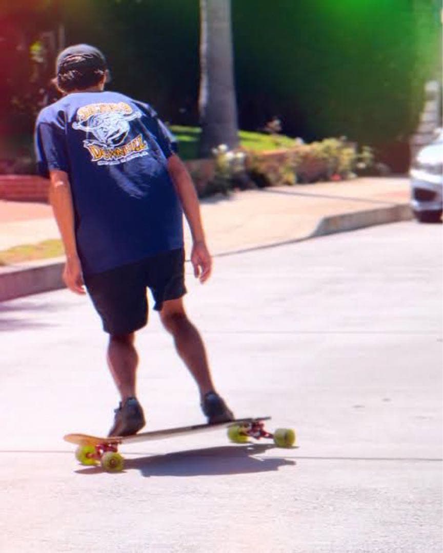 スケートボード Sector9 CARVING RIDING STYLE AINA STRIK