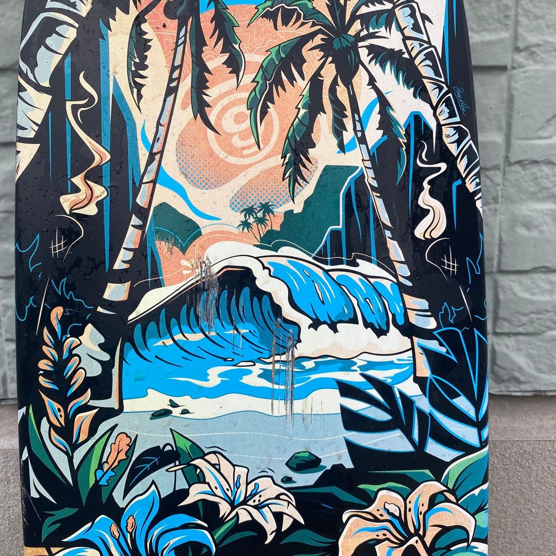 スケートボード Sector9 CARVING RIDING STYLE AINA STRIK