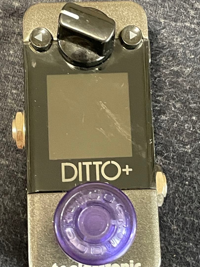 D*n様 ditto looper plus tc electronic ルーパ