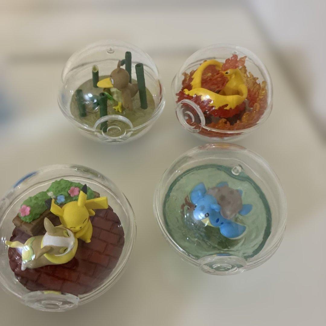 右上！ポケモン テラリウムコレクション 12種