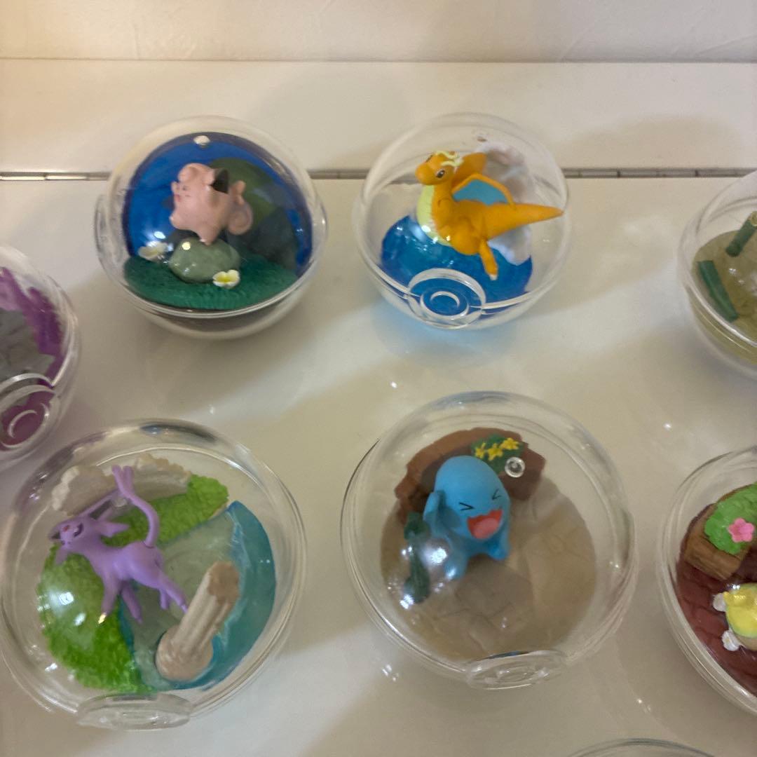 右上！ポケモン テラリウムコレクション 12種