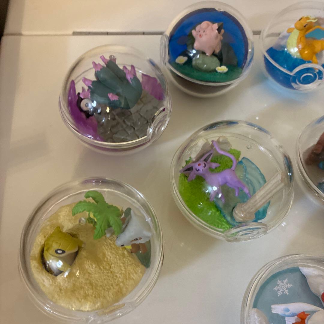 右上！ポケモン テラリウムコレクション 12種
