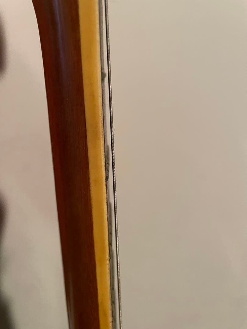 エレキギター　楽器　趣味　機材　コレクション　インテリア　一点もの　年代物