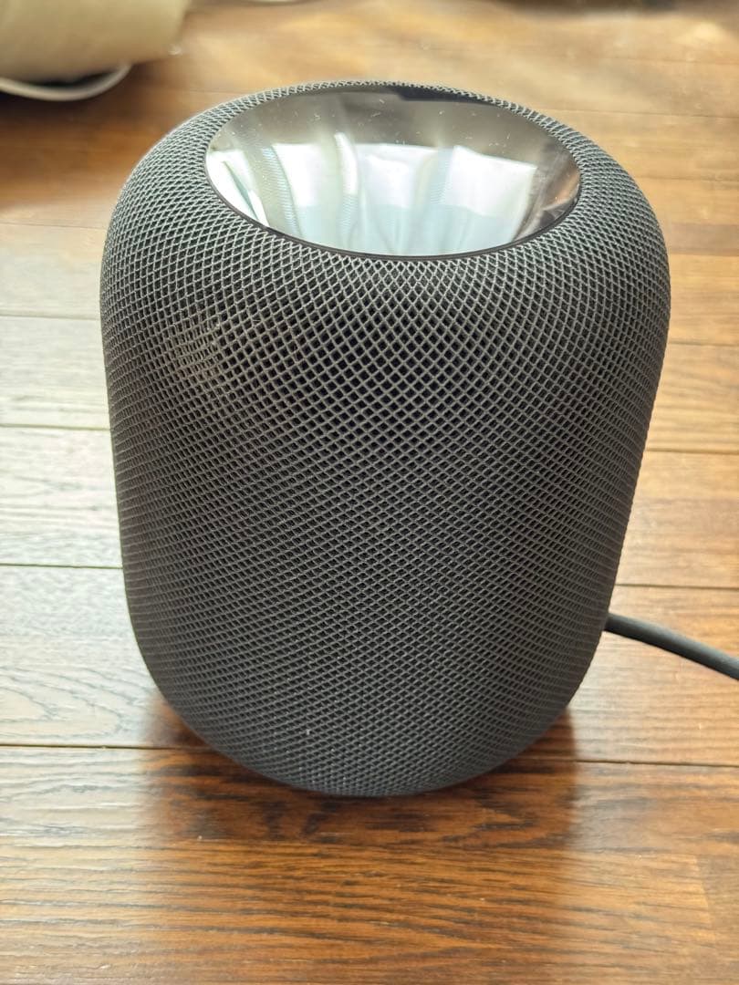 p*a様 【ジャンク】Pod (第1世代)