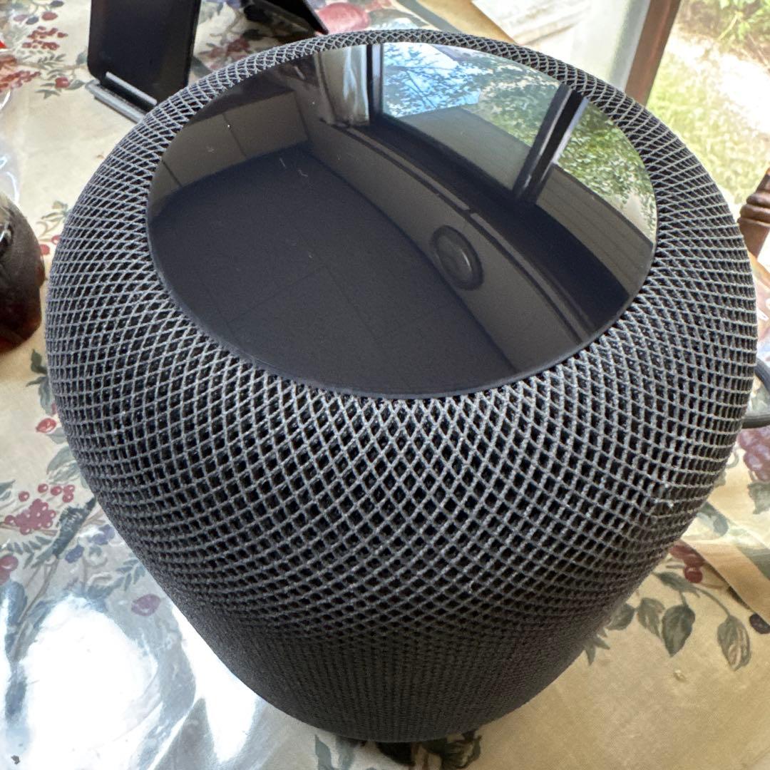 p*a様 【ジャンク】Pod (第1世代)