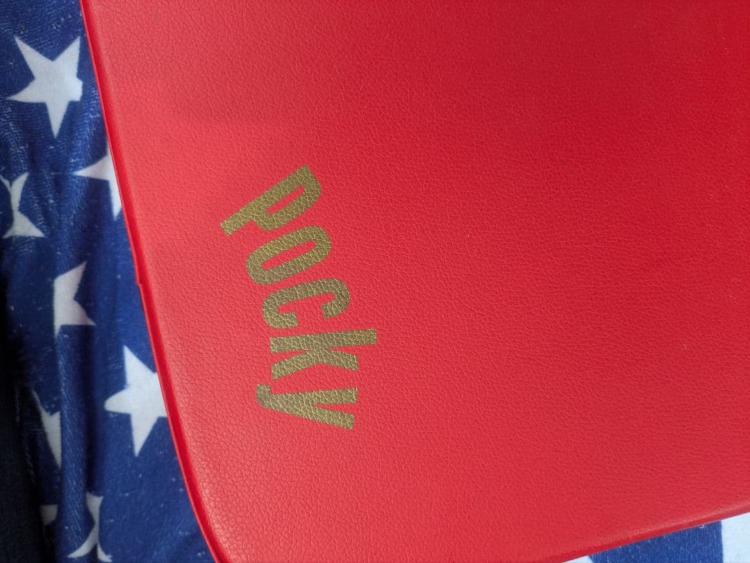 Glico ポッキーエレキギター　 斉藤和義モデル