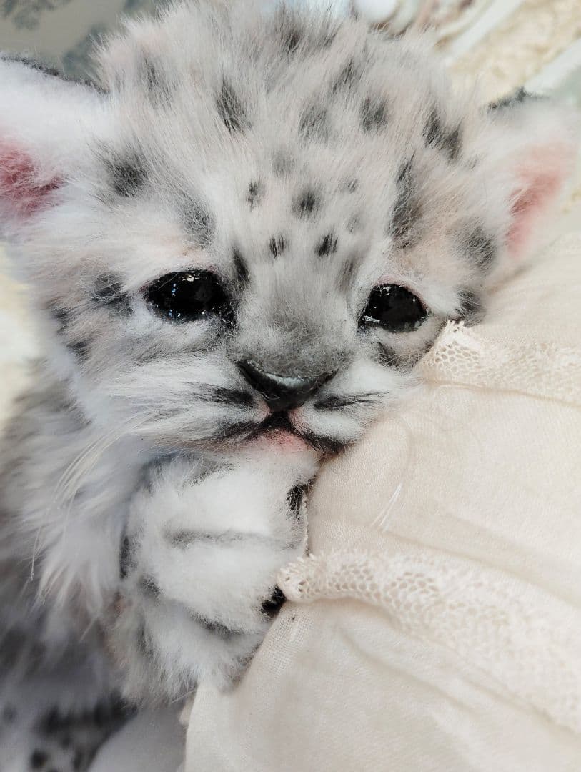 ユキヒョウベビー♡赤ちゃん♡アートドール♡ぬいぐるみ♡