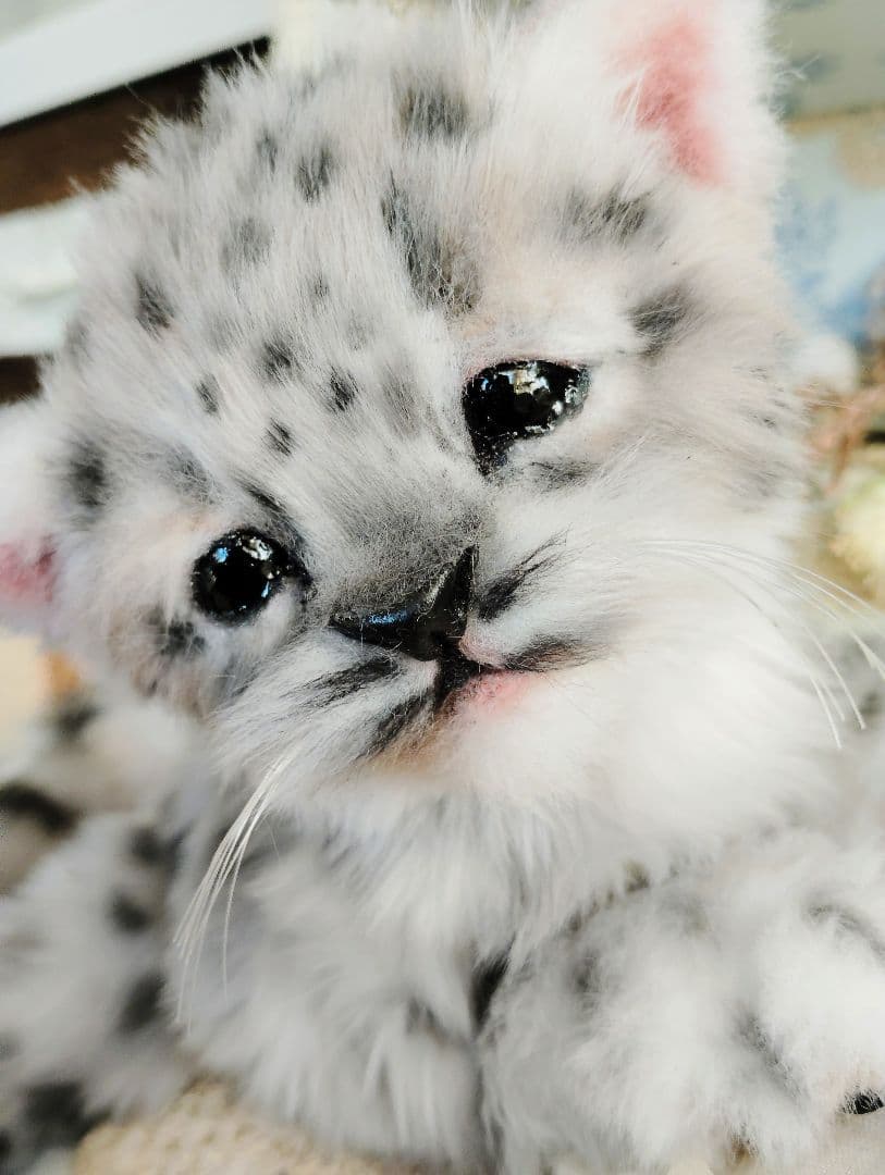 ユキヒョウベビー♡赤ちゃん♡アートドール♡ぬいぐるみ♡