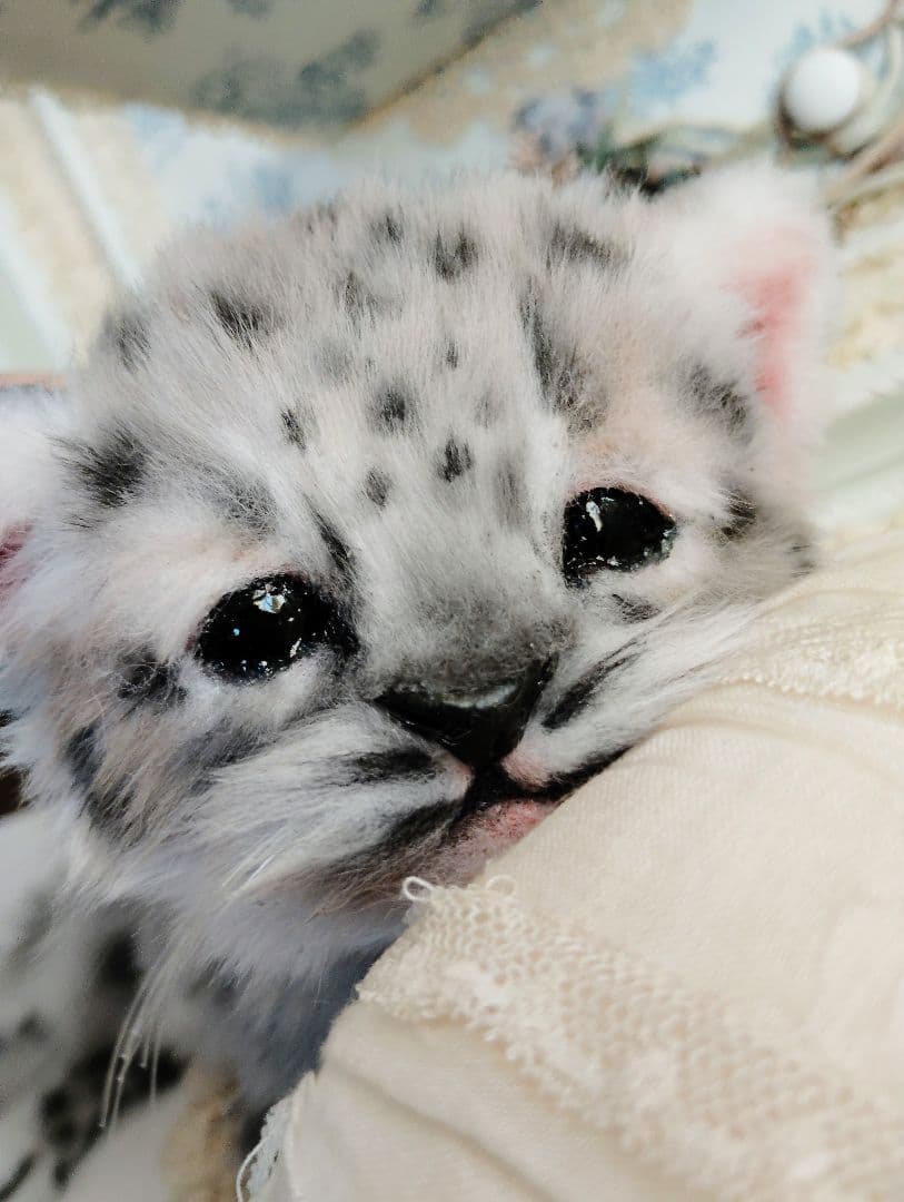 ユキヒョウベビー♡赤ちゃん♡アートドール♡ぬいぐるみ♡