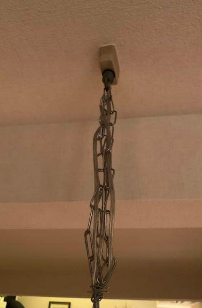 シーリングライト・天井照明 journal standard furniture/PENDANT LAMP