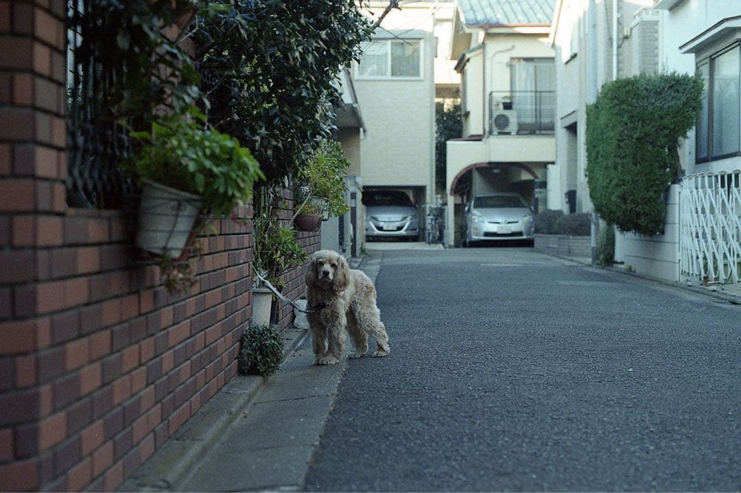 年始のセール！OLYMPUS ZUIKO MACRO 90mm F2