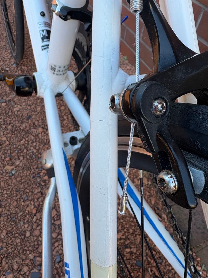 イディオム1 ミニベロ IDIOM1 ジャイアント　愛知県