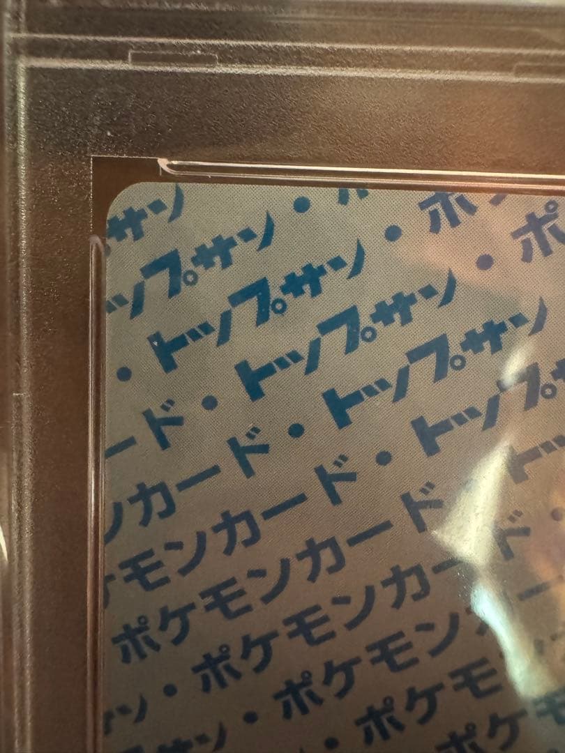 ポケモンカード トップサン ピカチュウ 裏青